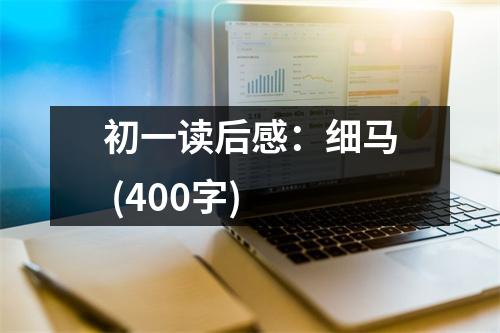 初一讀后感：細馬 (400字)