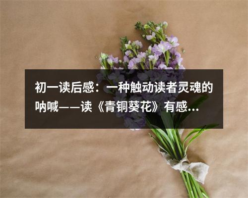 初一讀后感：一種觸動讀者靈魂的吶喊——讀《青銅葵花》有感 (450字)