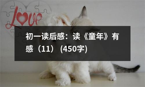 初一讀后感：讀《童年》有感（11） (450字)