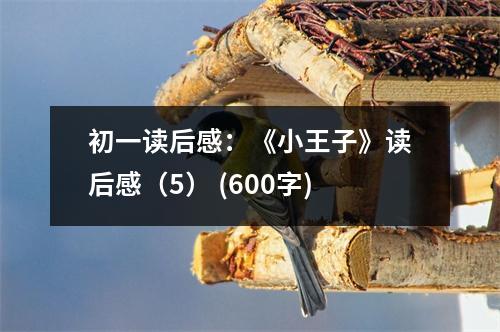 初一讀后感：《小王子》讀后感（5） (600字)