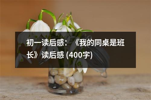 初一讀后感：《我的同桌是班長》讀后感 (400字)