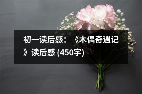 初一讀后感：《木偶奇遇記》讀后感 (450字)