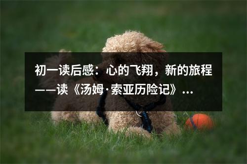 初一讀后感：心的飛翔，新的旅程——讀《湯姆·索亞歷險(xiǎn)記》有感 (400字)