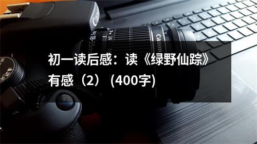 初一讀后感：讀《綠野仙蹤》有感（2） (400字)