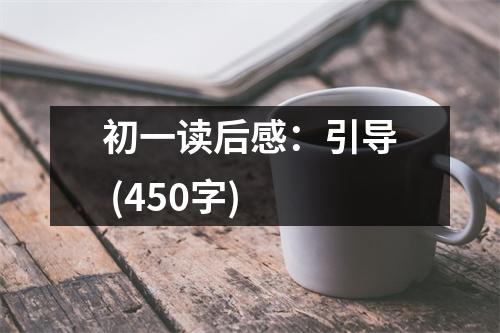 初一讀后感：引導(dǎo) (450字)