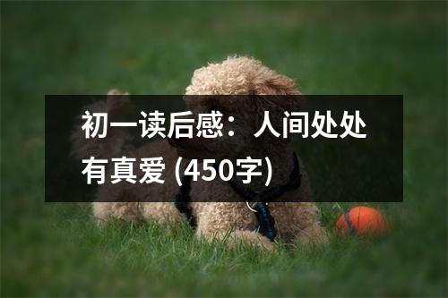 初一讀后感：人間處處有真愛 (450字)