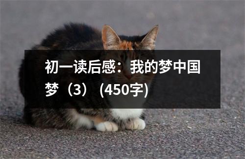 初一讀后感：我的夢中國夢（3） (450字)