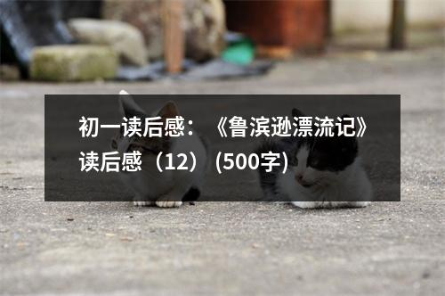 初一讀后感：《魯濱遜漂流記》讀后感（12） (500字)