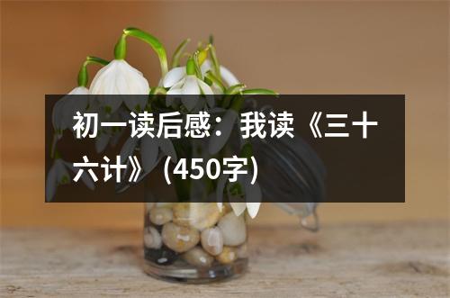 初一讀后感：我讀《三十六計》 (450字)