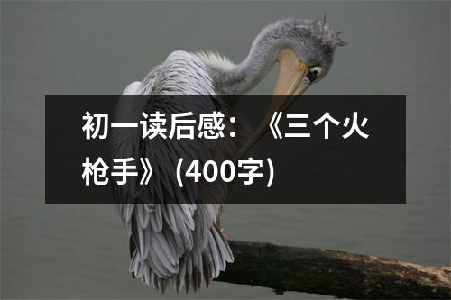 初一讀后感：《三個(gè)火槍手》 (400字)