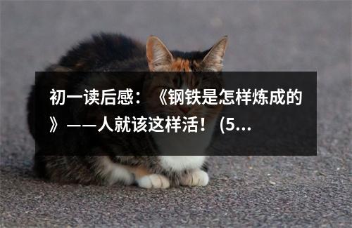 初一讀后感：《鋼鐵是怎樣煉成的》——人就該這樣活！ (500字)
