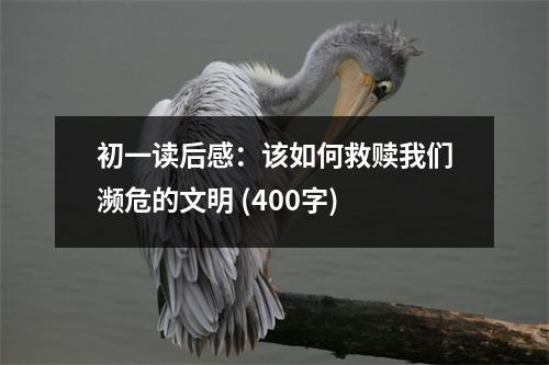 初一讀后感：該如何救贖我們?yōu)l危的文明 (400字)
