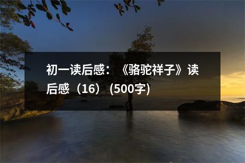 初一讀后感：《駱駝祥子》讀后感（16） (500字)
