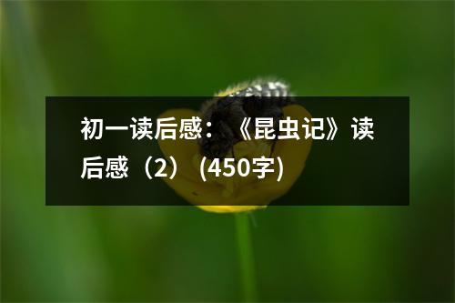 初一讀后感：《昆蟲記》讀后感（2） (450字)