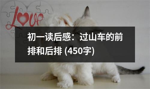 初一讀后感：過山車的前排和后排 (450字)