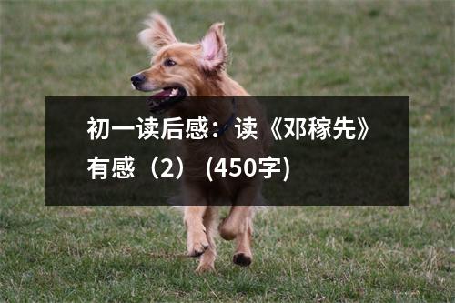 初一讀后感：讀《鄧稼先》有感（2） (450字)