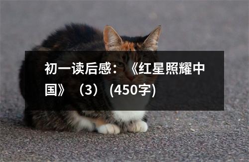初一讀后感：《紅星照耀中國》（3） (450字)
