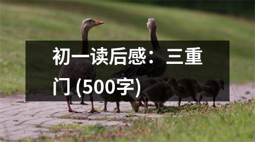 初一讀后感：三重門 (500字)