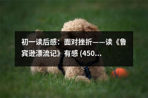 初一讀后感：面對(duì)挫折——讀《魯賓遜漂流記》有感 (450字)