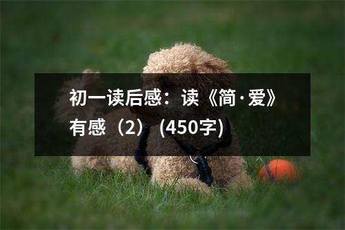 初一讀后感：讀《簡(jiǎn)·愛》有感（2） (450字)