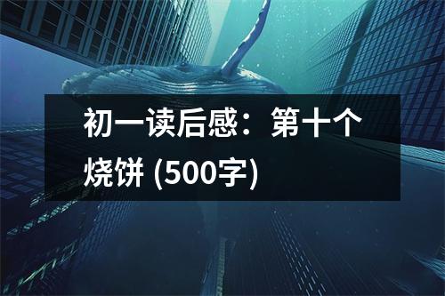 初一讀后感：第十個(gè)燒餅 (500字)