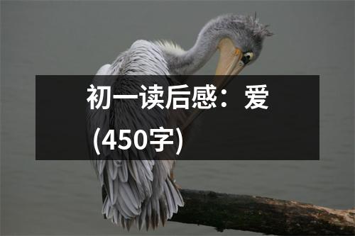 初一讀后感：愛(ài) (450字)