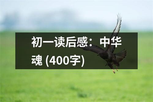 初一讀后感：中華魂 (400字)