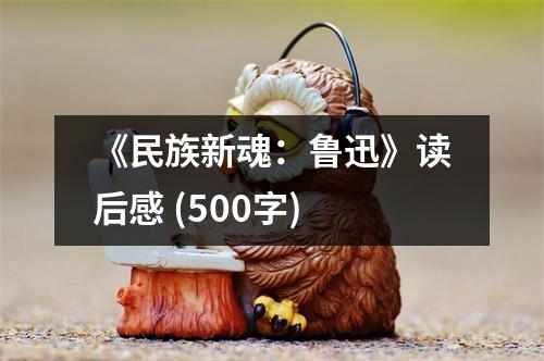 《民族新魂：魯迅》讀后感 (500字)