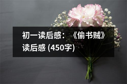 初一讀后感：《偷書(shū)賊》讀后感 (450字)