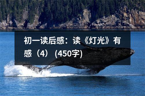 初一讀后感：讀《燈光》有感（4） (450字)