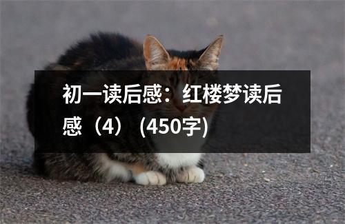 初一讀后感：紅樓夢讀后感（4） (450字)