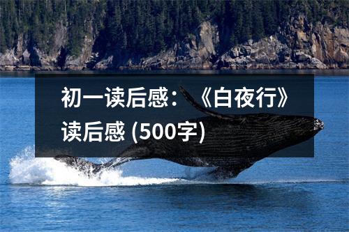 初一讀后感：《白夜行》讀后感 (500字)