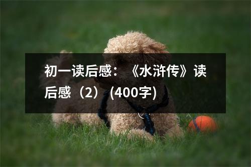 初一讀后感：《水滸傳》讀后感（2） (400字)