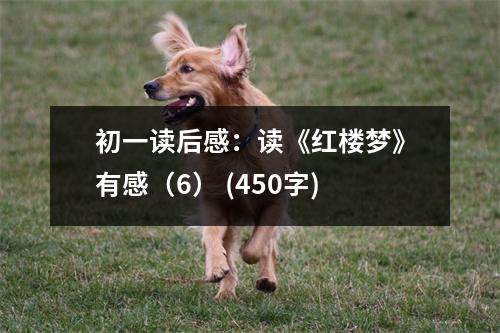 初一讀后感：讀《紅樓夢(mèng)》有感（6） (450字)