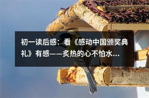 初一讀后感：看《感動(dòng)中國(guó)頒獎(jiǎng)典禮》有感——炙熱的心不怕水澆 (550字)