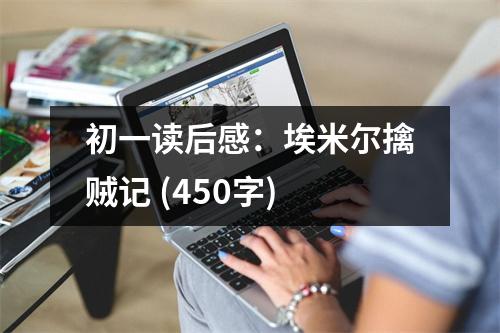 初一讀后感：埃米爾擒賊記 (450字)