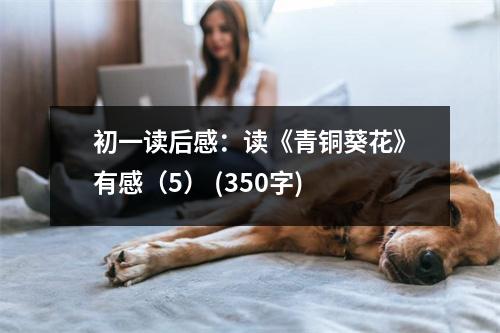 初一讀后感：讀《青銅葵花》有感（5） (350字)