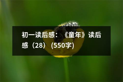 初一讀后感：《童年》讀后感（28） (550字)