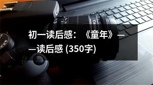 初一讀后感：《童年》——讀后感 (350字)