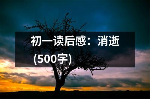 初一讀后感：消逝 (500字)