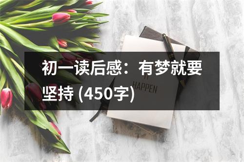 初一讀后感：有夢(mèng)就要堅(jiān)持 (450字)
