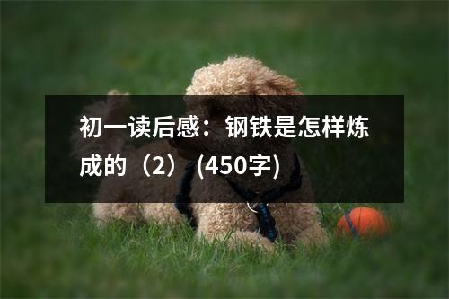 初一讀后感：鋼鐵是怎樣煉成的（2） (450字)
