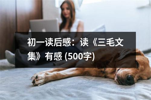 初一讀后感：讀《三毛文集》有感 (500字)