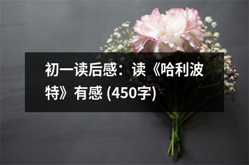 初一讀后感：讀《哈利波特》有感 (450字)