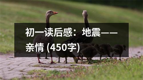 初一讀后感：地震——親情 (450字)