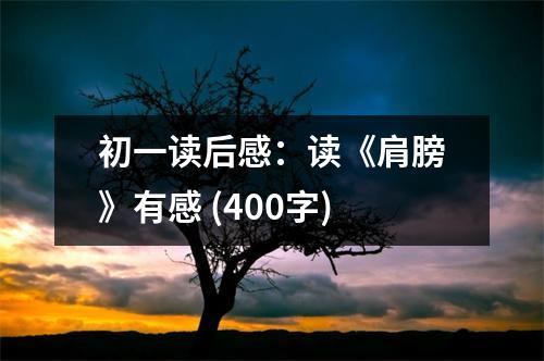 初一讀后感：讀《肩膀》有感 (400字)