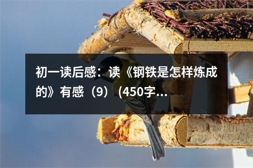 初一讀后感：讀《鋼鐵是怎樣煉成的》有感（9） (450字)