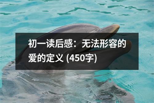 初一讀后感：無法形容的愛的定義 (450字)
