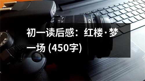 初一讀后感：紅樓·夢一場 (450字)