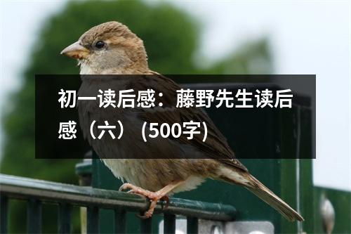 初一讀后感：藤野先生讀后感（六） (500字)